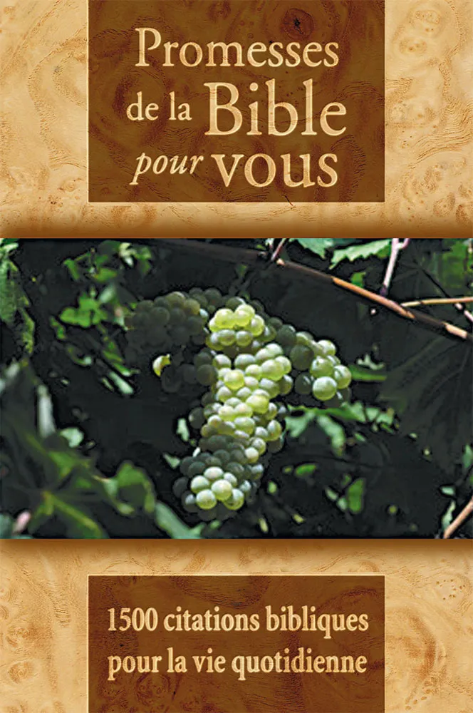 PROMESSES DE LA BIBLE POUR VOUS - 1500 CITATIONS BIBLIQUES POUR LA VIE QUOTIDIENNE