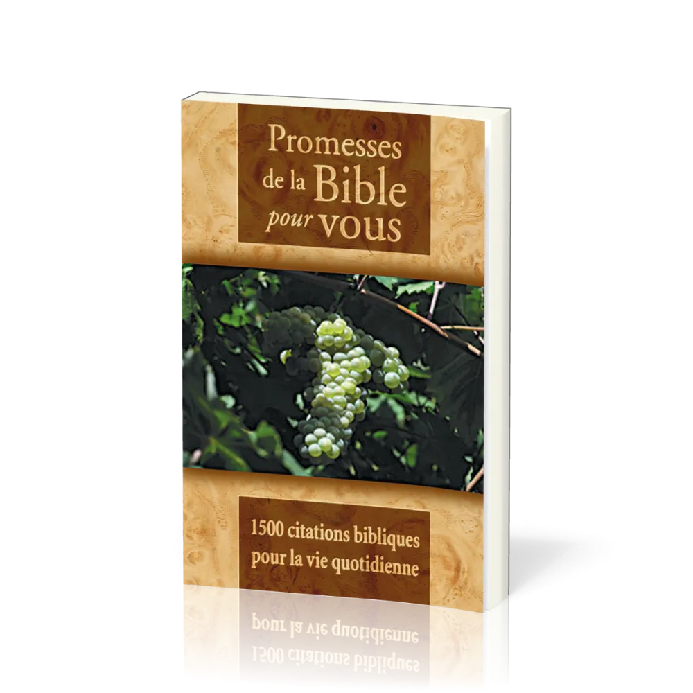 PROMESSES DE LA BIBLE POUR VOUS - 1500 CITATIONS BIBLIQUES POUR LA VIE QUOTIDIENNE