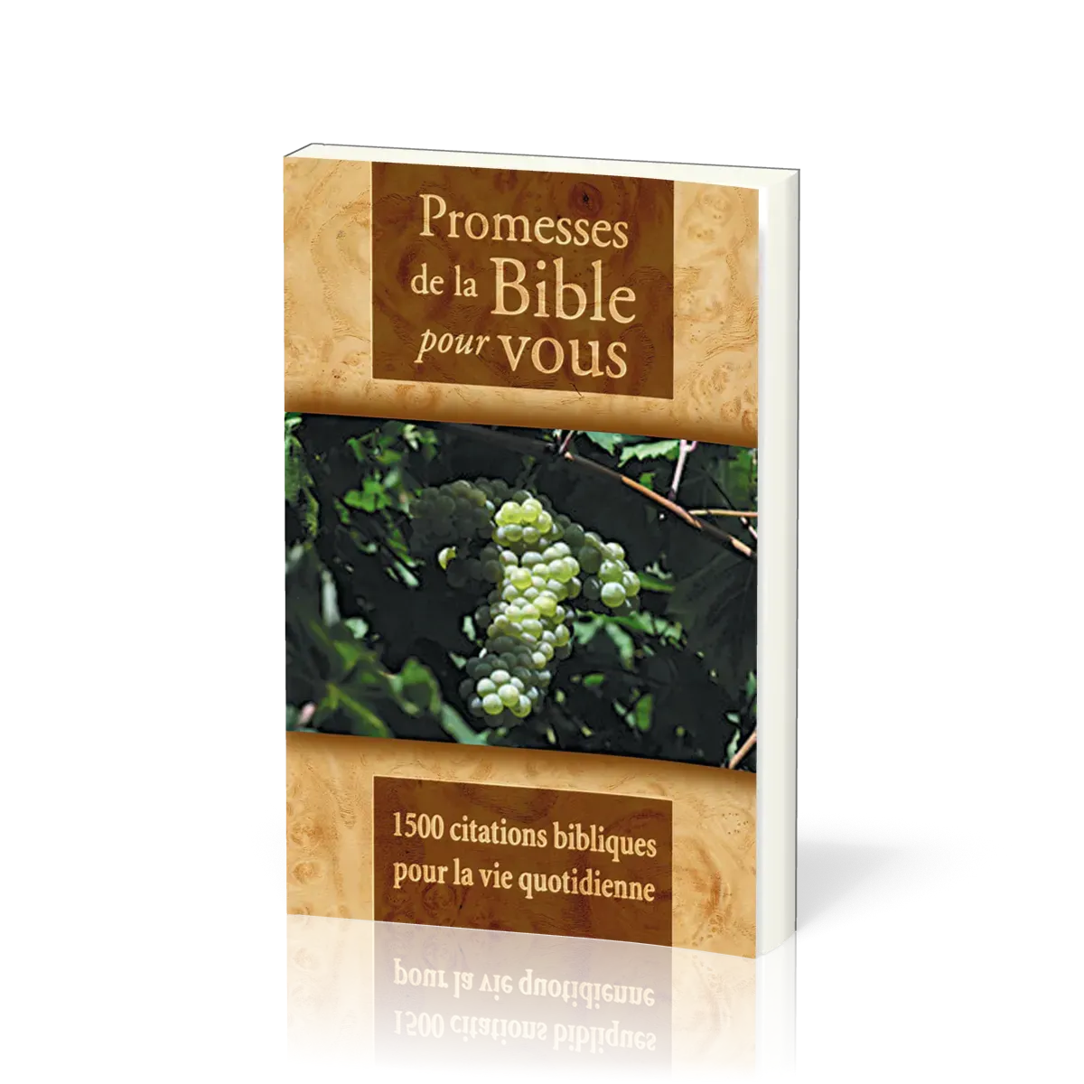 PROMESSES DE LA BIBLE POUR VOUS - 1500 CITATIONS BIBLIQUES POUR LA VIE QUOTIDIENNE