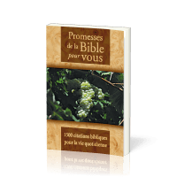 PROMESSES DE LA BIBLE POUR VOUS - 1500 CITATIONS BIBLIQUES POUR LA VIE QUOTIDIENNE