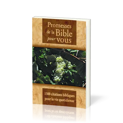 PROMESSES DE LA BIBLE POUR VOUS - 1500 CITATIONS BIBLIQUES POUR LA VIE QUOTIDIENNE