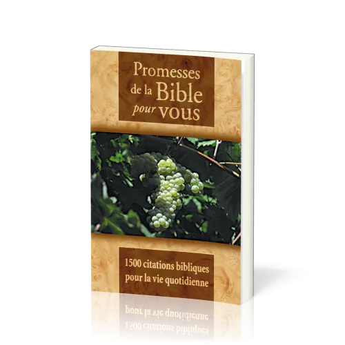 PROMESSES DE LA BIBLE POUR VOUS - 1500 CITATIONS BIBLIQUES POUR LA VIE QUOTIDIENNE