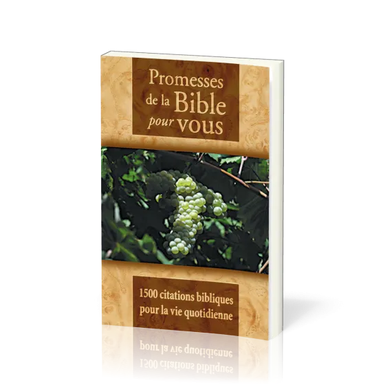 PROMESSES DE LA BIBLE POUR VOUS - 1500 CITATIONS BIBLIQUES POUR LA VIE QUOTIDIENNE