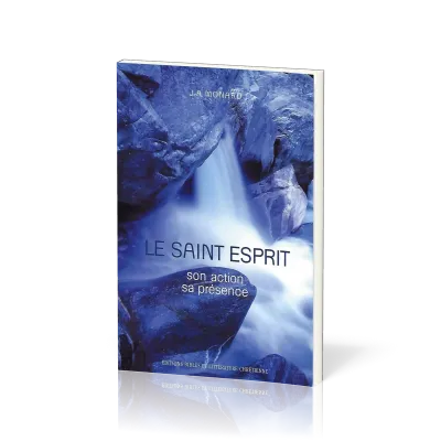 SAINT ESPRIT (LE) - SON ACTION SA PRESENCE