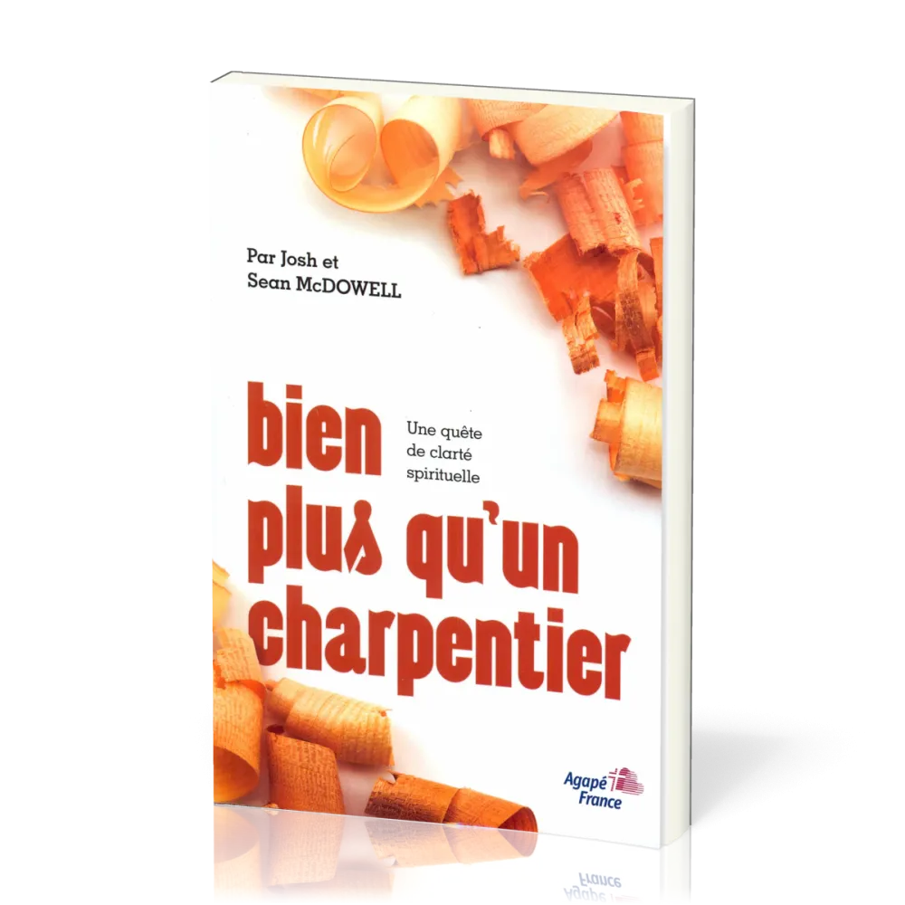 BIEN PLUS QU'UN CHARPENTIER