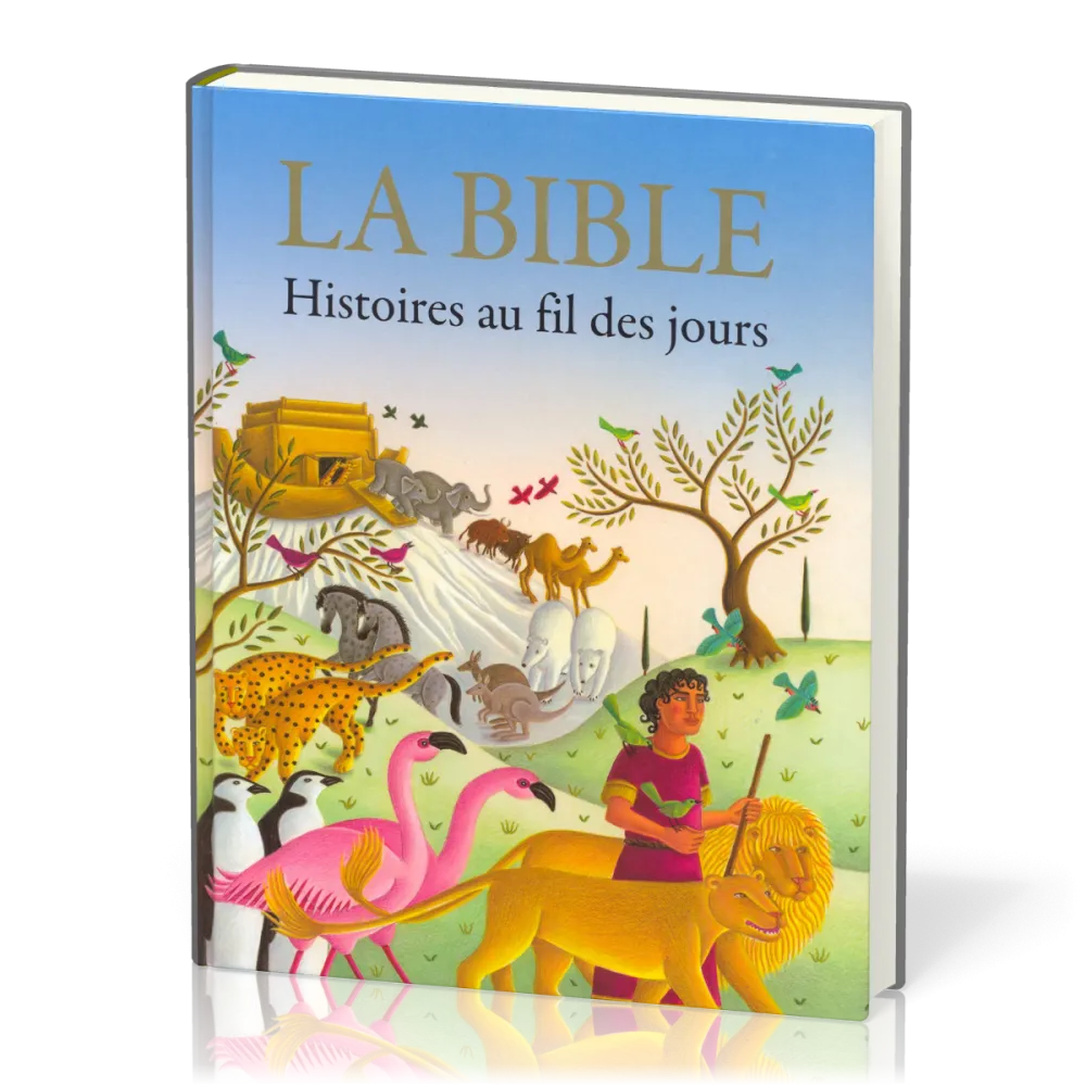 BIBLE (LA) - HISTOIRES AU FIL DES JOURS