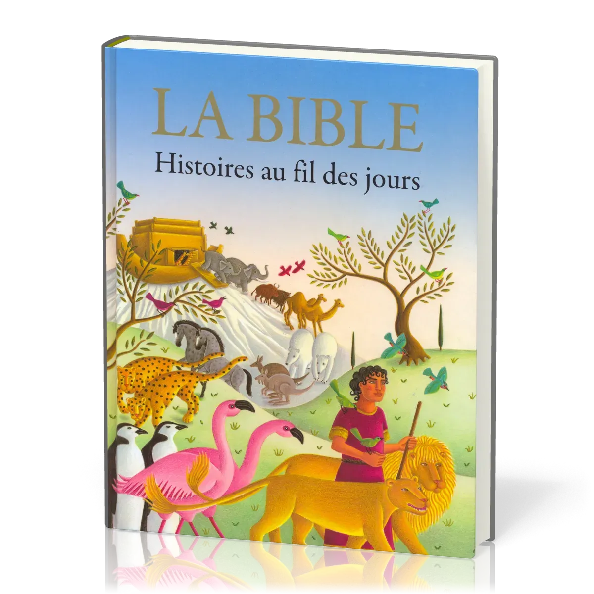 BIBLE (LA) - HISTOIRES AU FIL DES JOURS