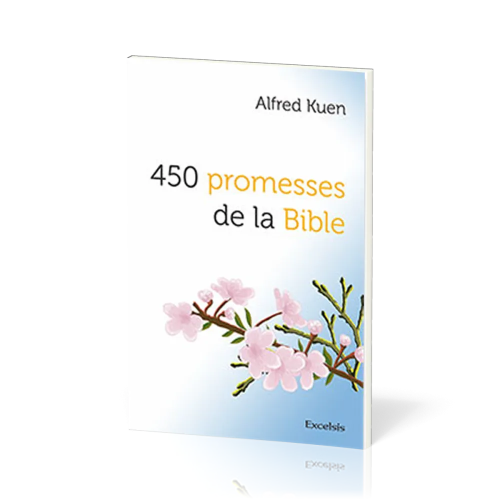 450 PROMESSES DE LA BIBLE NVELLE EDITION
