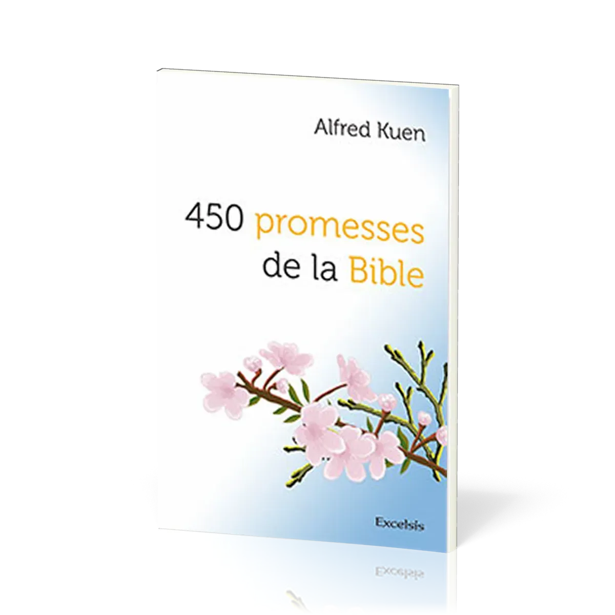 450 PROMESSES DE LA BIBLE NVELLE EDITION