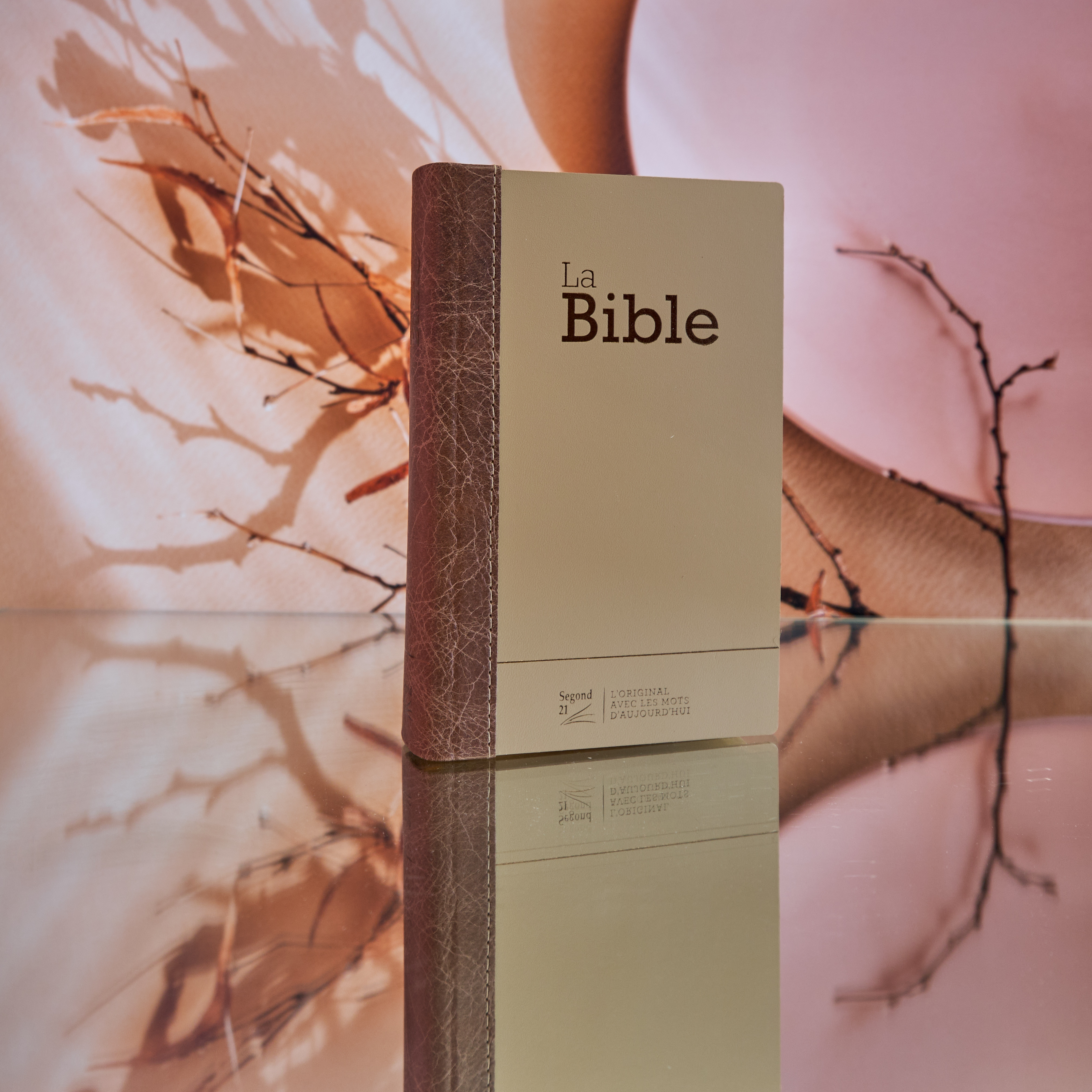 BIBLE SEGOND 21 COMPACTE "PREMIUM STYLE" SEMI RIGIDE DUO CUIR PRALINE CHOCOLAT - TRANCHES DOREES
