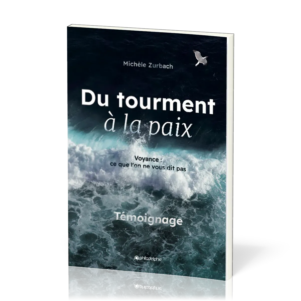DU TOURMENT A LA PAIX - CE QU'ON NE VOUS DIT PAS - NOUVELLE EDITION