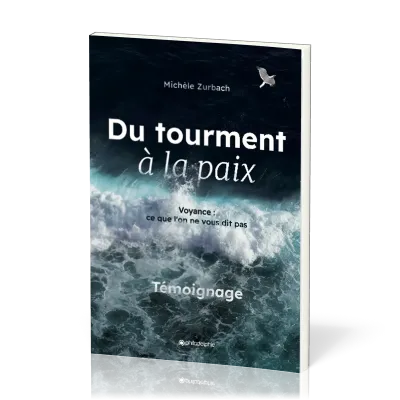 DU TOURMENT A LA PAIX - CE QU'ON NE VOUS DIT PAS - NOUVELLE EDITION