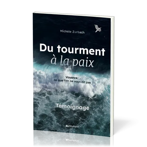 DU TOURMENT A LA PAIX - CE QU'ON NE VOUS DIT PAS - NOUVELLE EDITION