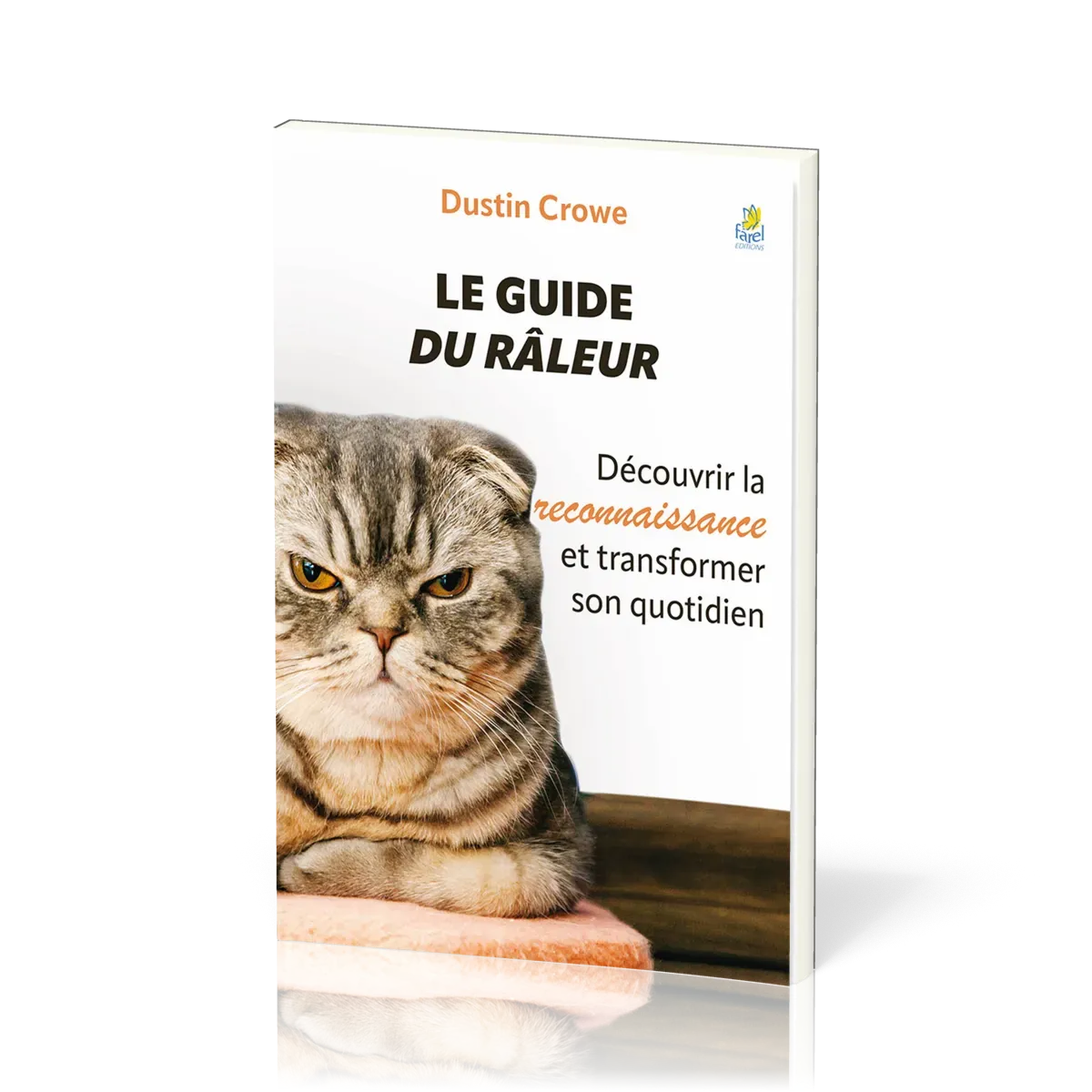 GUIDE DU RALEUR (LE) - DECOUVRIR LA RECONNAISSANCE ET TRANSFORMER SON QUOTIDIEN