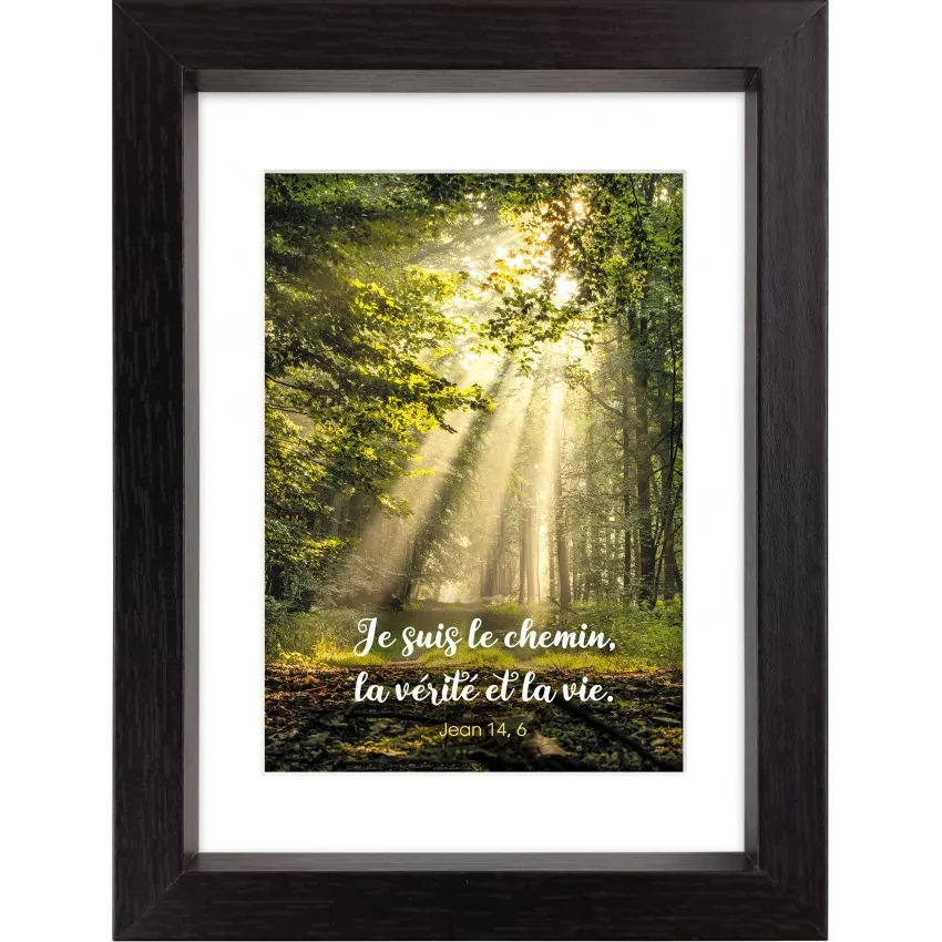 MON CADRE INSPIRATION - FORETS