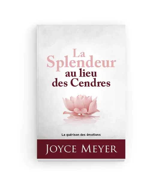 SPLENDEUR AU LIEU DES CENDRES (LA)