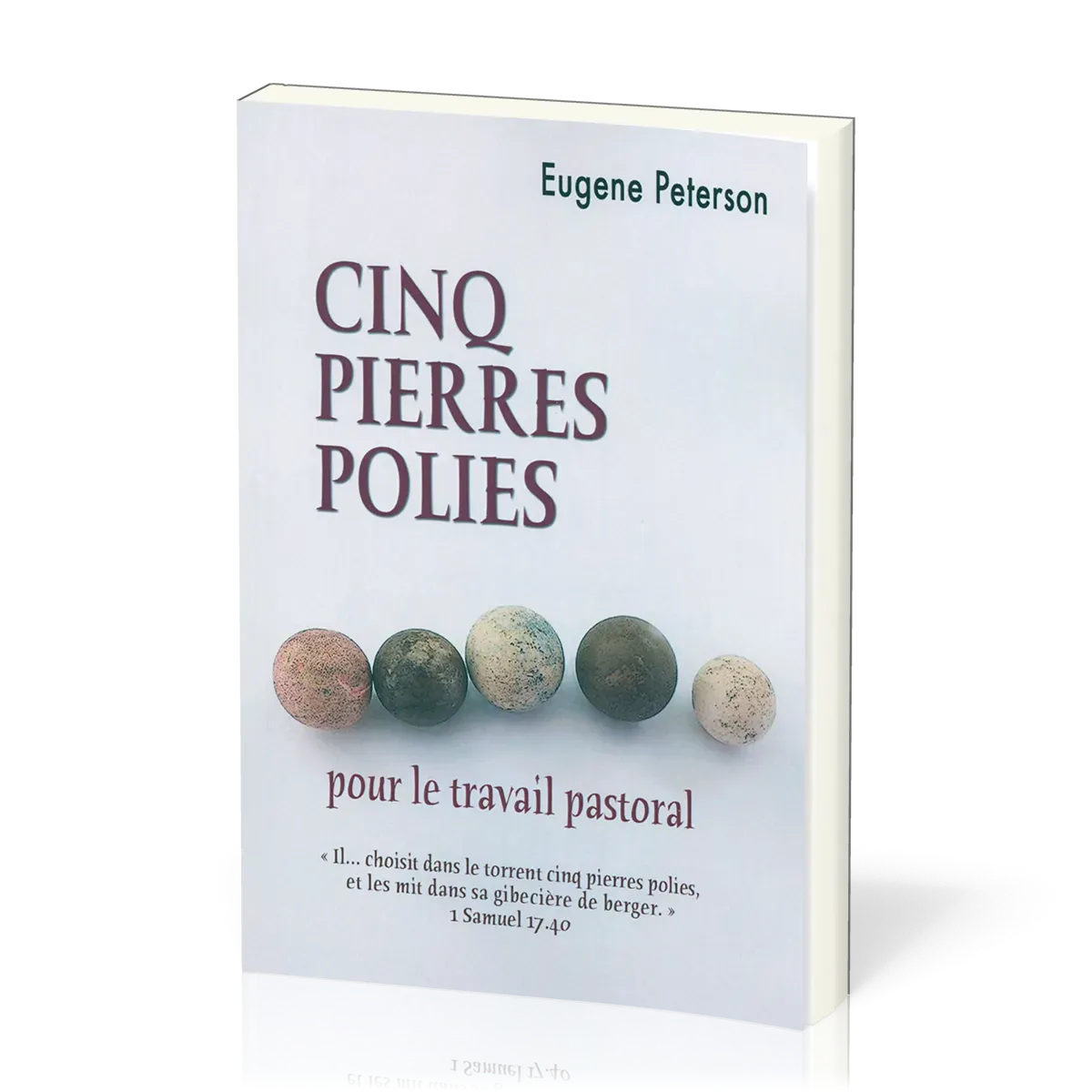 CINQ PIERRES POLIES - POUR LE TRAVAIL PASTORAL