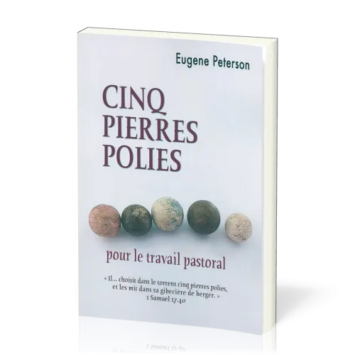CINQ PIERRES POLIES - POUR LE TRAVAIL PASTORAL