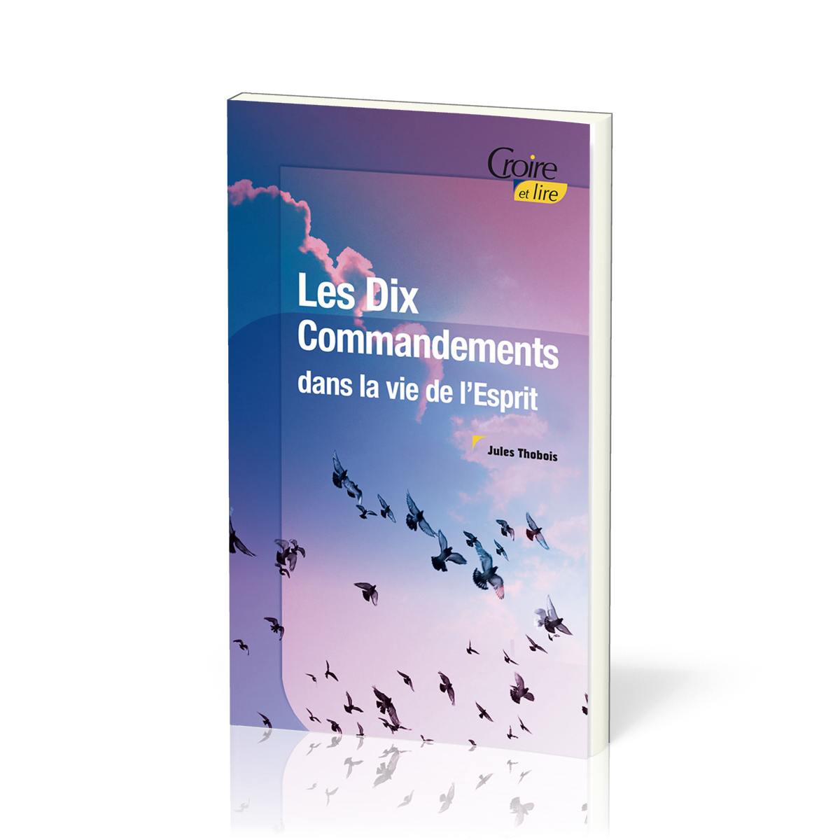 DIX COMMANDEMENTS DANS LA VIE DE L'ESPRIT (LES)