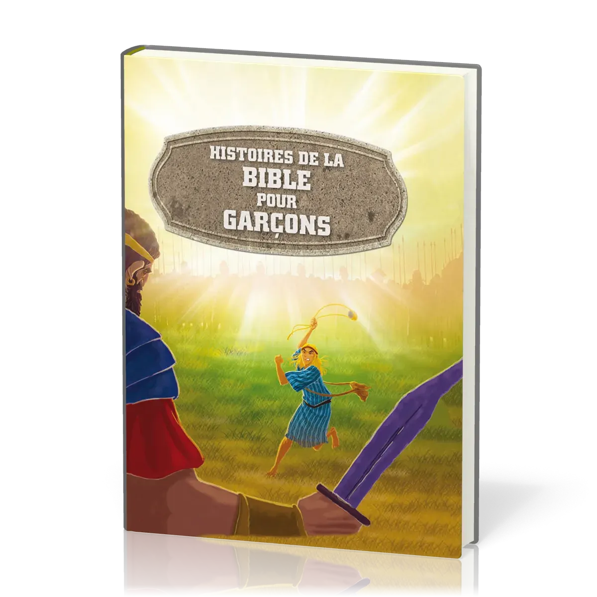 HISTOIRES DE LA BIBLE POUR GARCONS