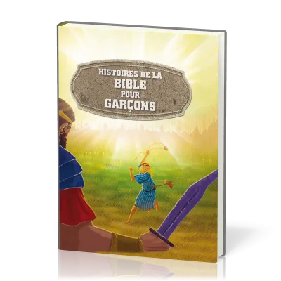 HISTOIRES DE LA BIBLE POUR GARCONS