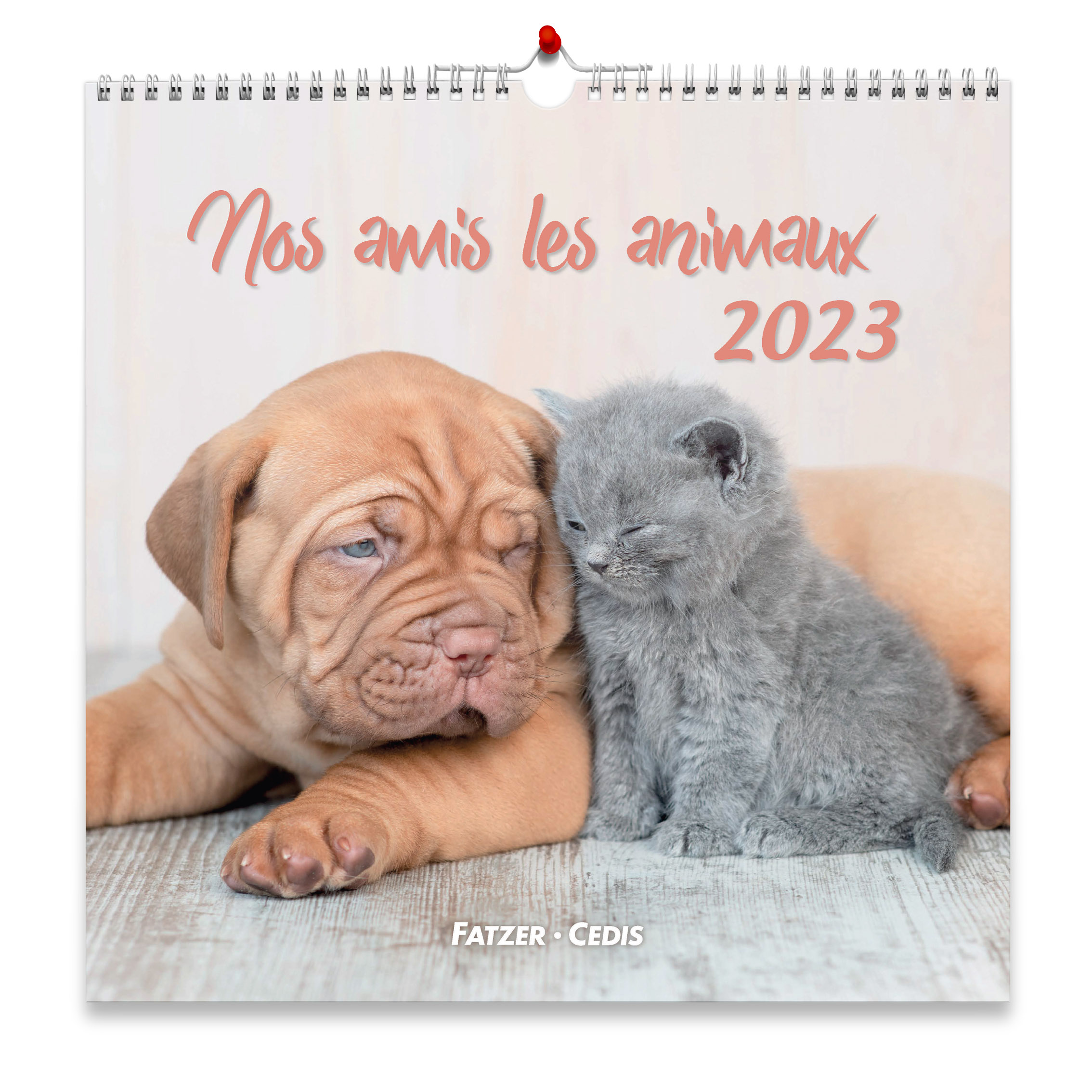 CALENDRIER CED NOS AMIS LES ANIMAUX
