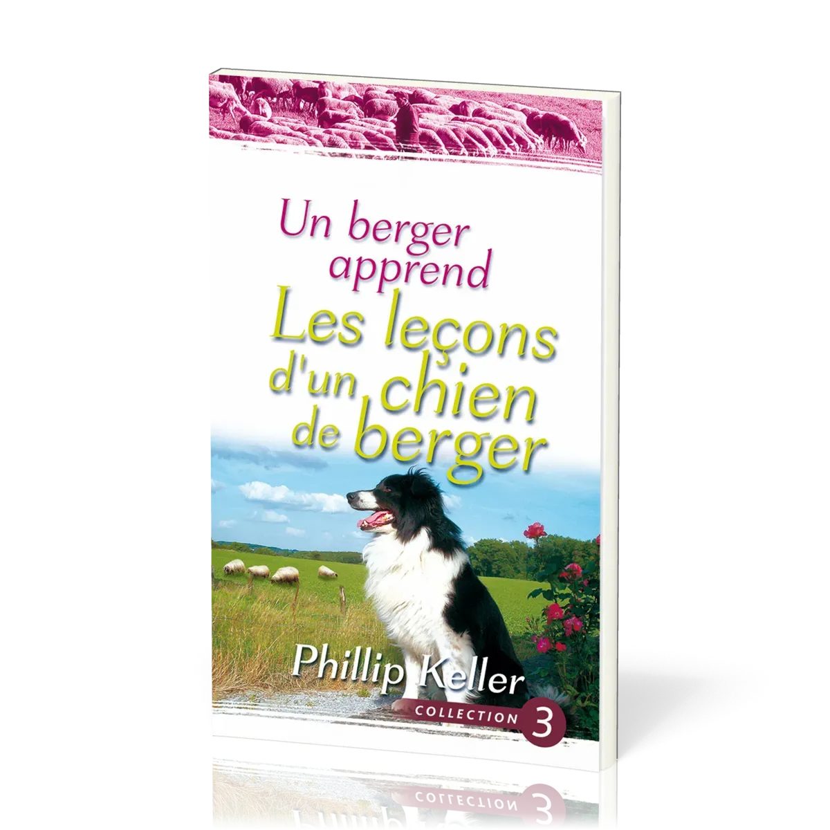 UN BERGER APPREND LES LECONS D'UN CHIEN DE BERGER