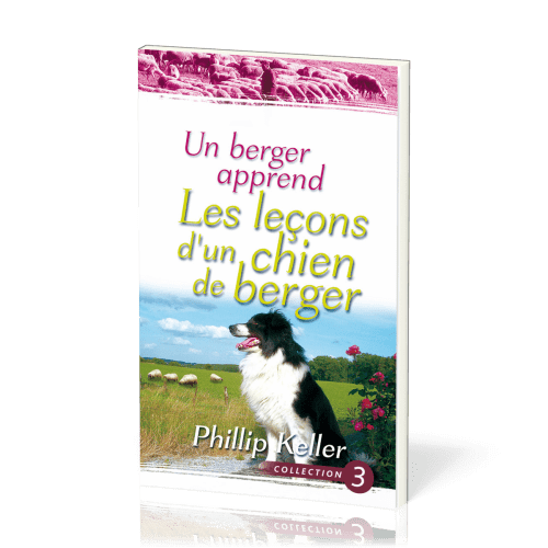 UN BERGER APPREND LES LECONS D'UN CHIEN DE BERGER