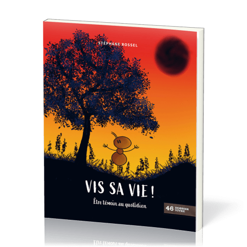 VIS SA VIE ! - ETRE TEMOIN AU QUOTIDIEN - DOSSIER VIVRE N° 46