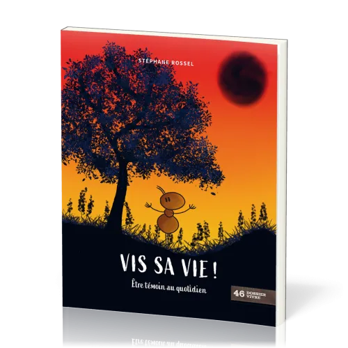 VIS SA VIE ! - ETRE TEMOIN AU QUOTIDIEN - DOSSIER VIVRE N° 46