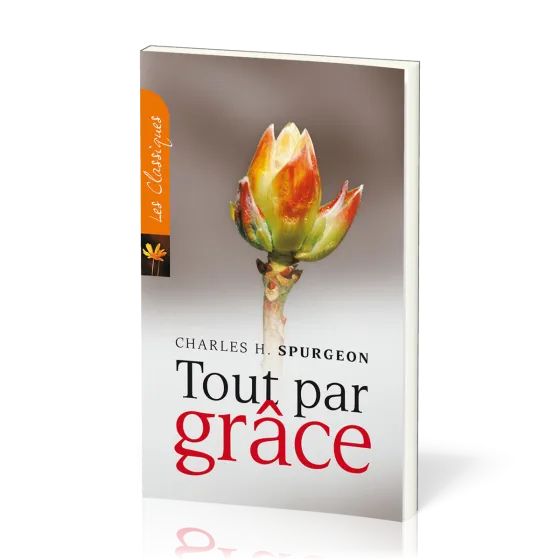 TOUT PAR GRACE - NOUVELLE EDITION