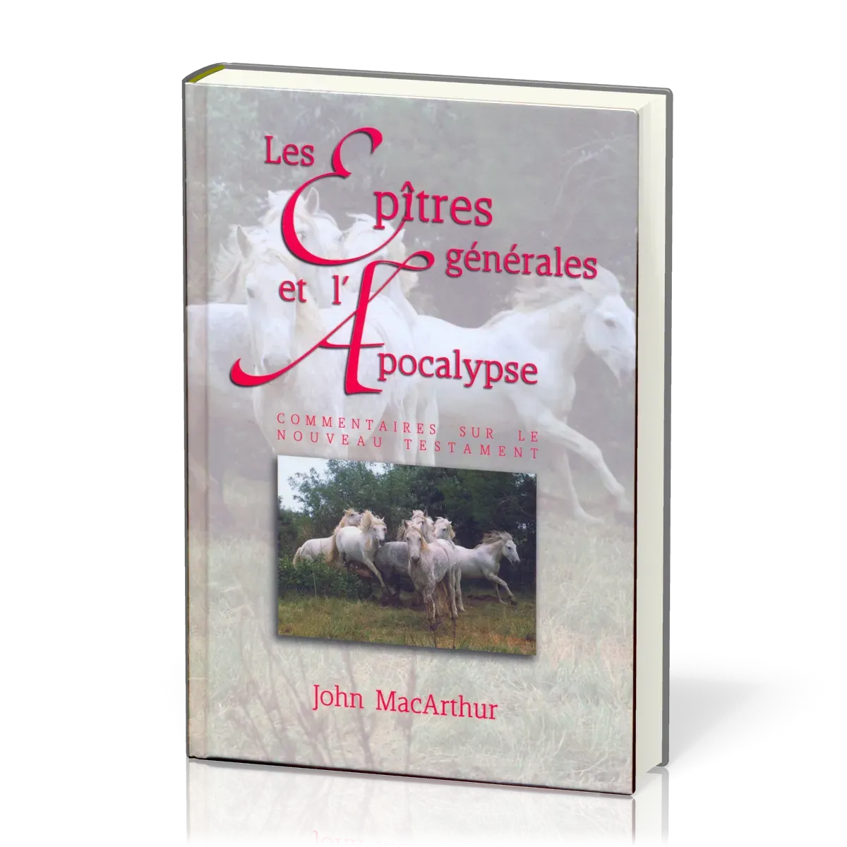 EPITRES GENERALES ET L'APOCALYPSE (LES)