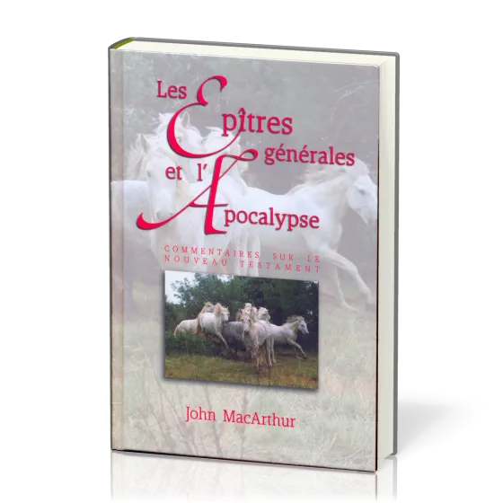 EPITRES GENERALES ET L'APOCALYPSE (LES)