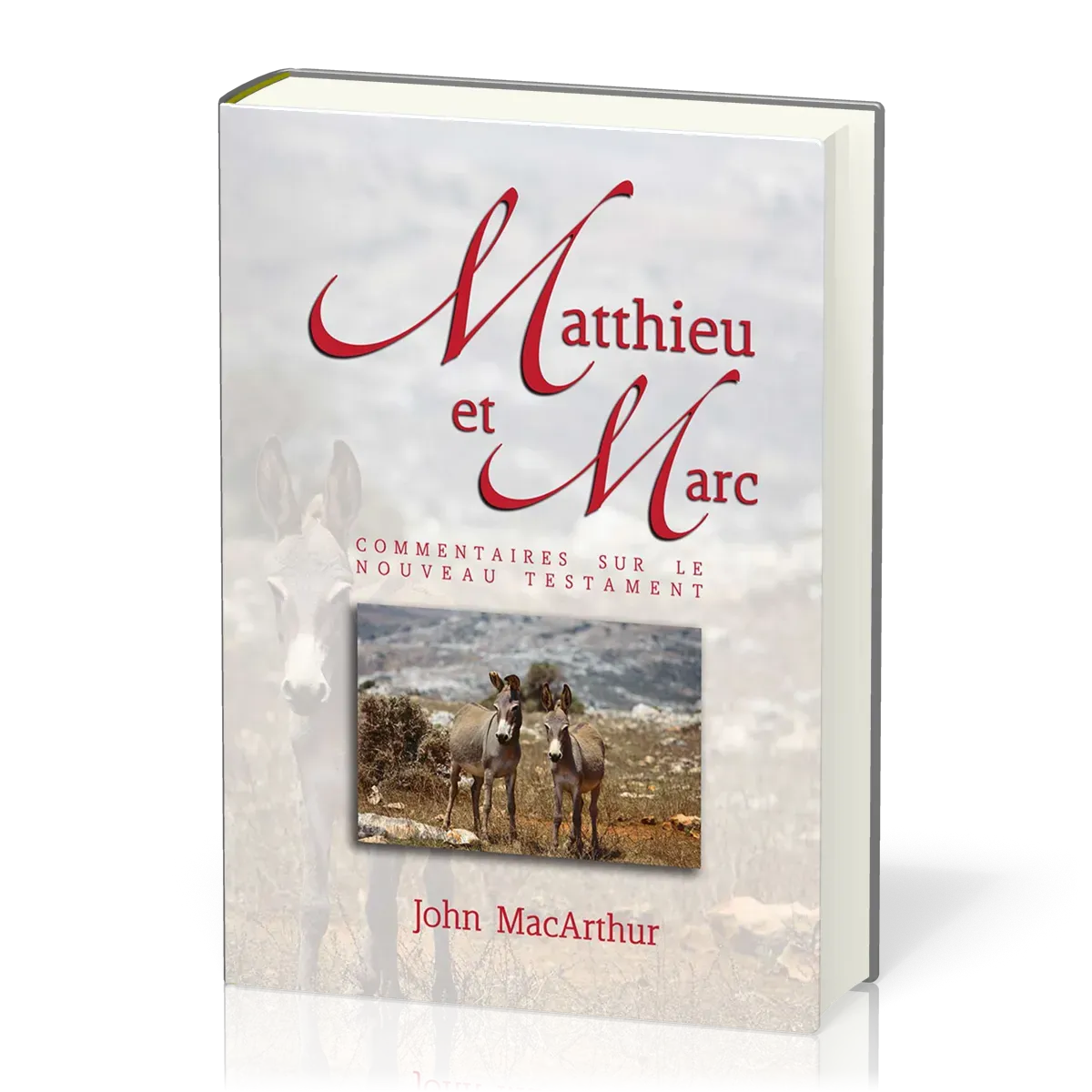 MATTHIEU-MARC COMMENTAIRES
