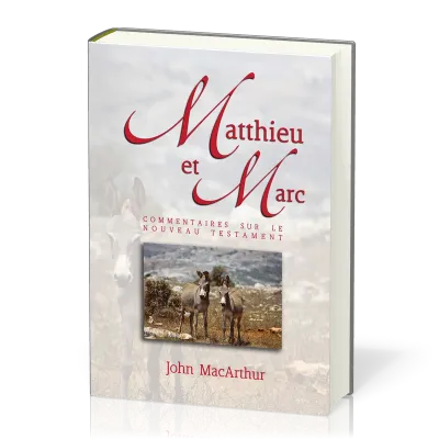 MATTHIEU-MARC COMMENTAIRES