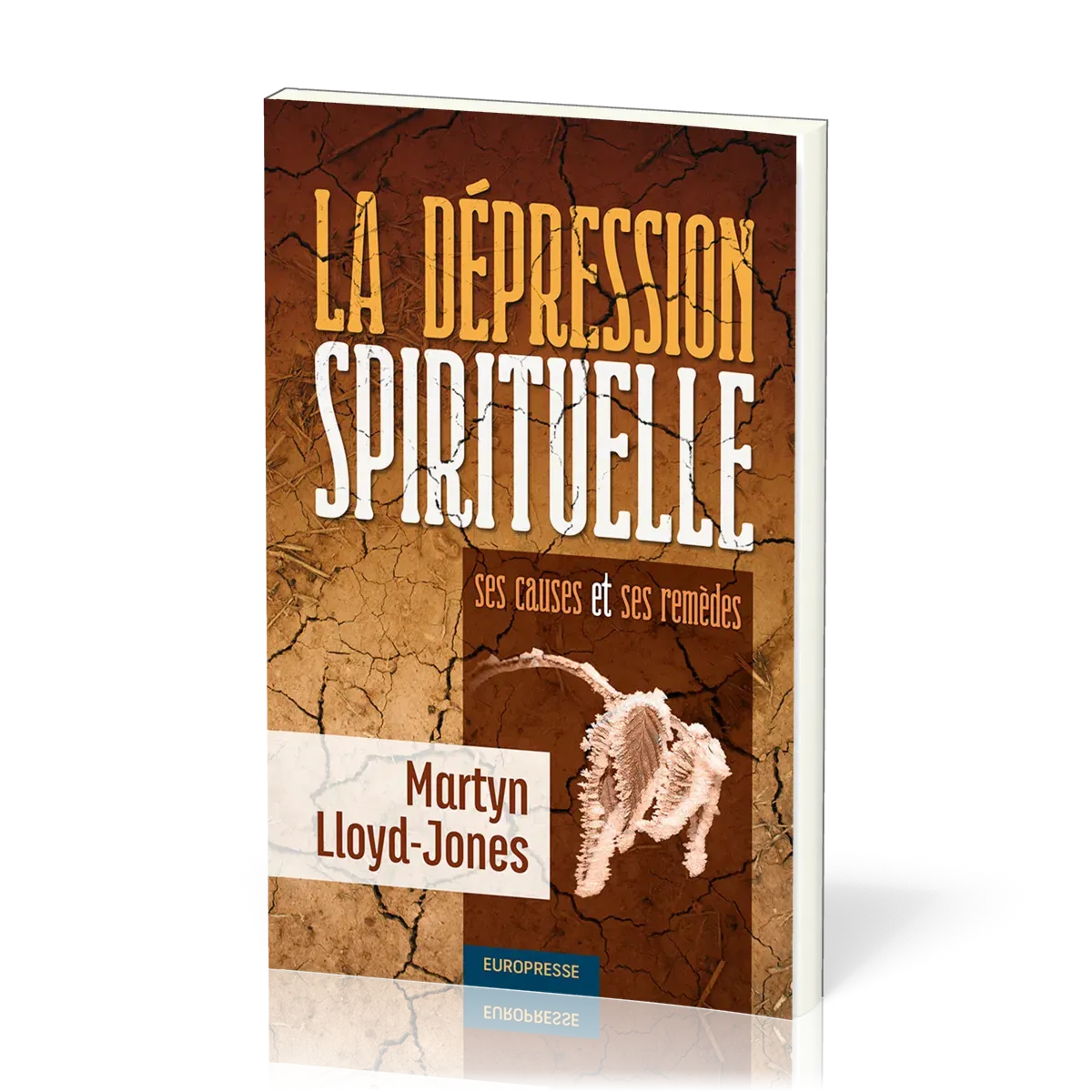 DEPRESSION SPIRITUELLE (LA) - SES CAUSES ET SES REMEDES