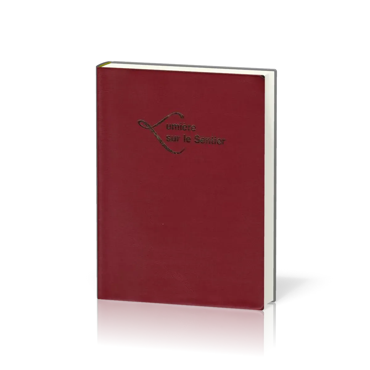 LUMIERE SUR LE SENTIER