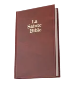 BIBLE DARBY PETIT SKIVERTEX BRUN