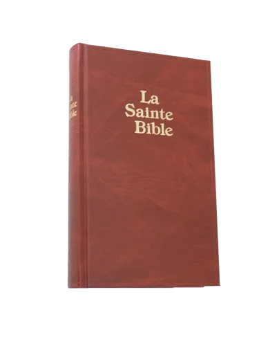 BIBLE DARBY PETIT SKIVERTEX BRUN