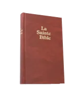 BIBLE DARBY PETIT SKIVERTEX BRUN