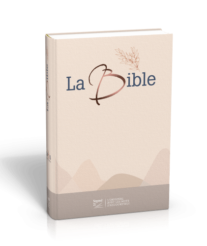 BIBLE SEGOND 21 GROS CARACTERES RIGIDE TOILEE MATELASSEE