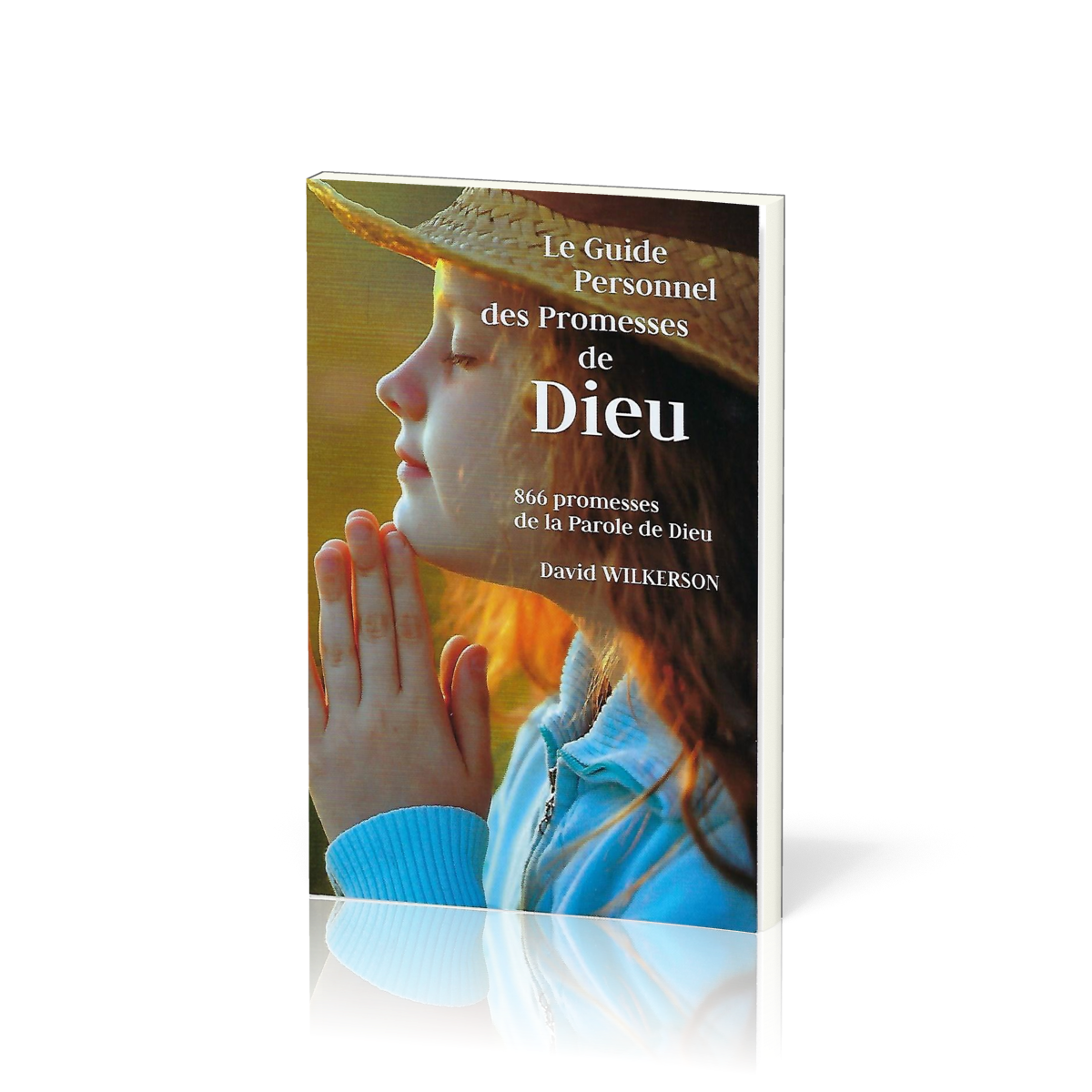les promesses de dieu dans la bible