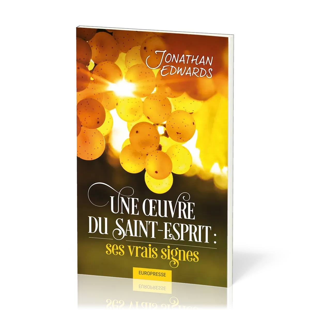 UNE OEUVRE DU SAINT ESPRIT: SES VRAIS SIGNES