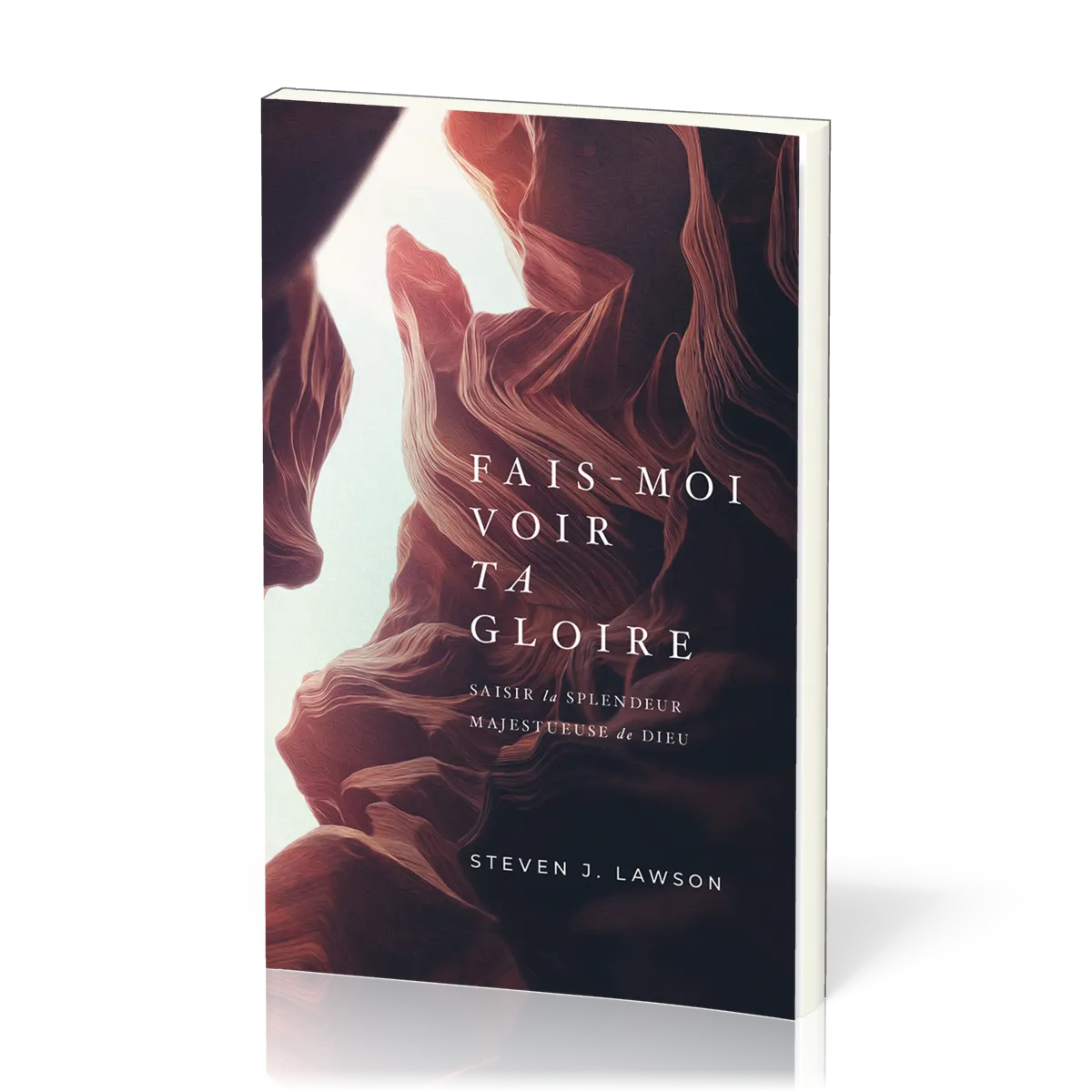 FAIS-MOI VOIR TA GLOIRE - SAISIR LA SPLENDEUR MAJESTUEUSE DE DIEU