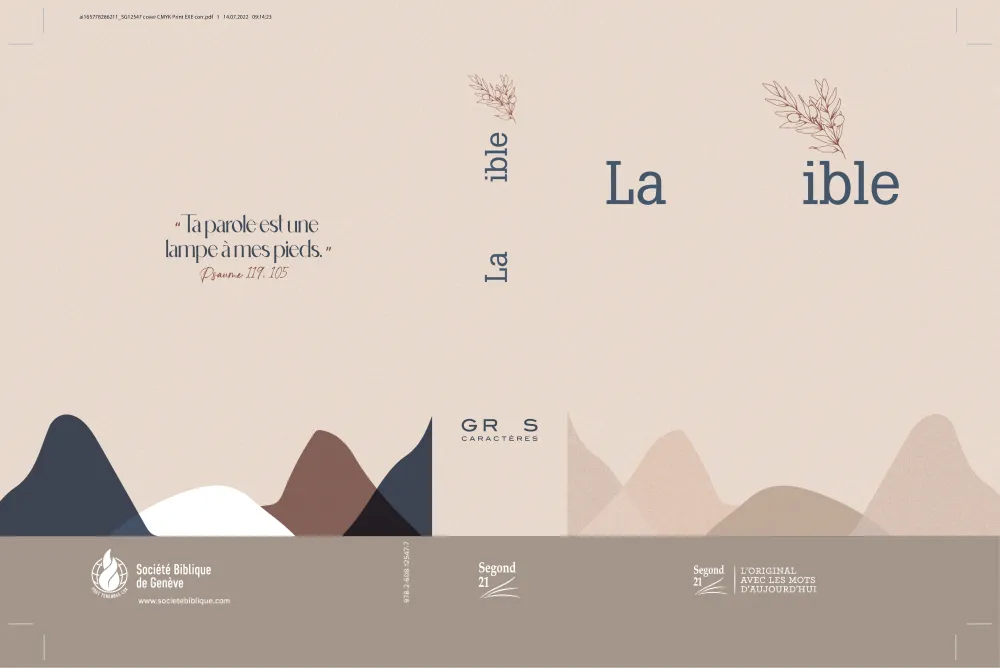 BIBLE SEGOND 21 GROS CARACTERES RIGIDE TOILEE MATELASSEE