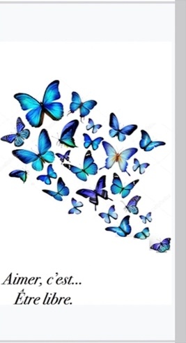 AIMER C'EST... ETRE LIBRE - CARNET A6 PAPILLONS PRINTEMPS BLEU