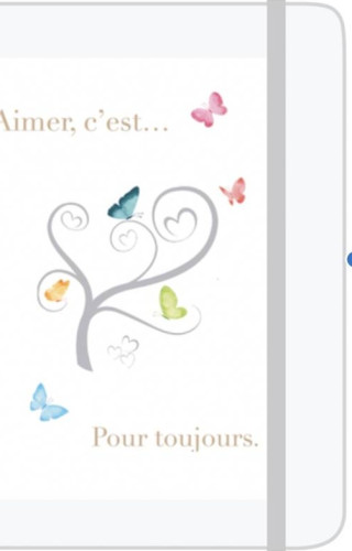 AIMER C'EST... POUR TOUJOURS - CARNET A6 PAPILLONS PRINTEMPS ARBRE